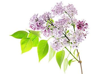 新一批国产游戏版号下发 《古剑奇谭二》手游过审